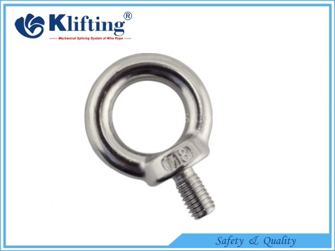 DIN580 Type Eye Bolt